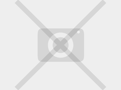 Gard Profilat Orizontal MIX